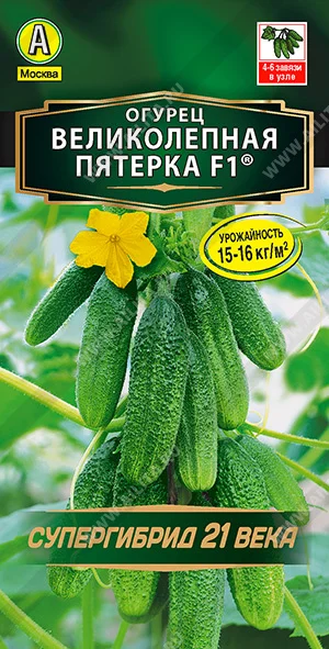 Великолепная пятерка