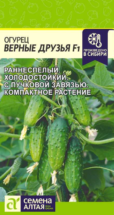 Миниатюра изображения сорта Верные Друзья