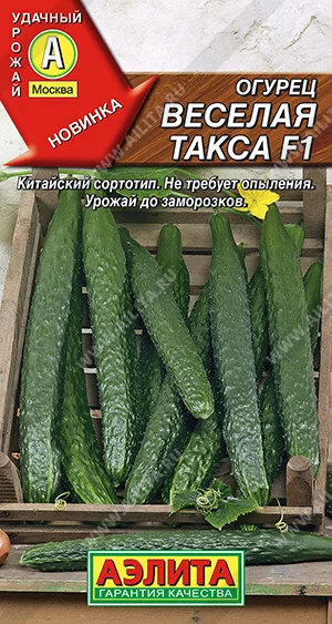 Веселая такса