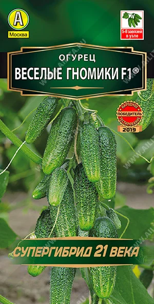 Веселые гномики