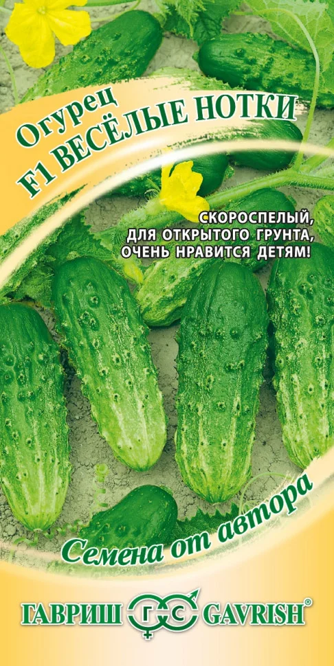 Веселые нотки 