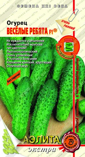 Веселые ребята