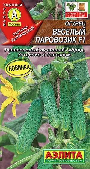 Веселый паровозик