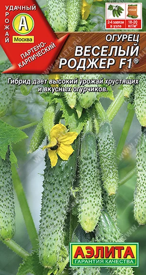 Веселый Роджер