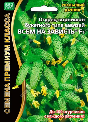 Всем на зависть