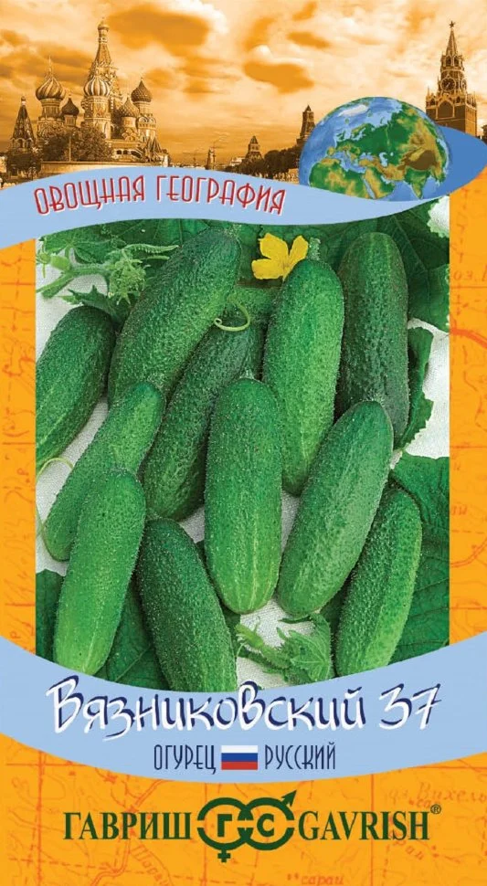 Вязниковский 37