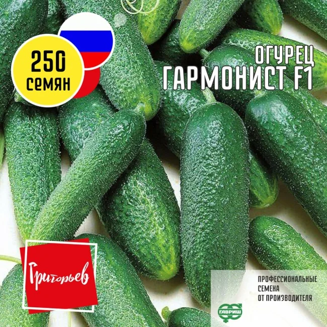 Миниатюра изображения сорта Гармонист