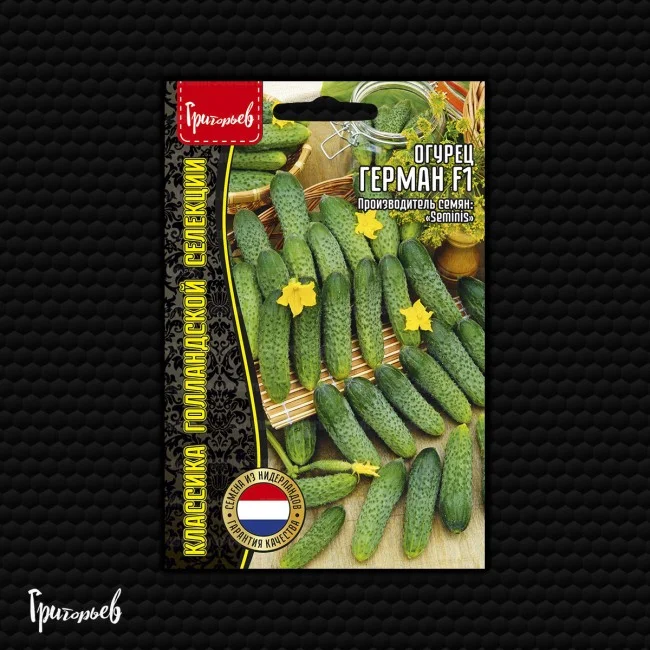 Миниатюра изображения сорта Герман