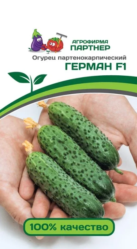 Миниатюра изображения сорта Герман