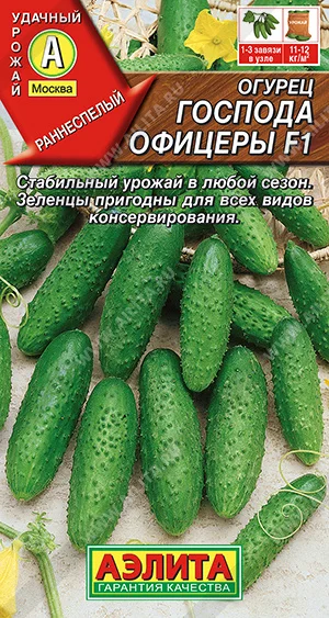 Господа офицеры