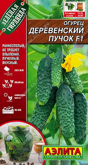 Деревенский пучок