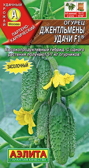 Джентельмены удачи