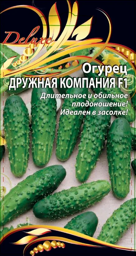 Дружная компания