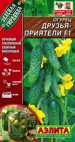 Друзья-приятели