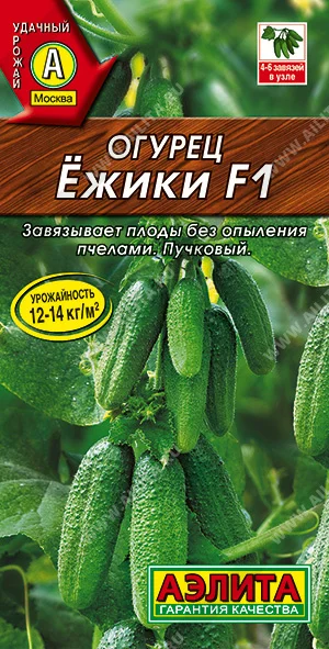 Ежики