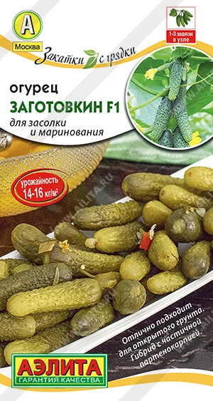 Заготовкин