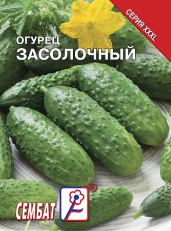 Миниатюра изображения сорта Засолочный