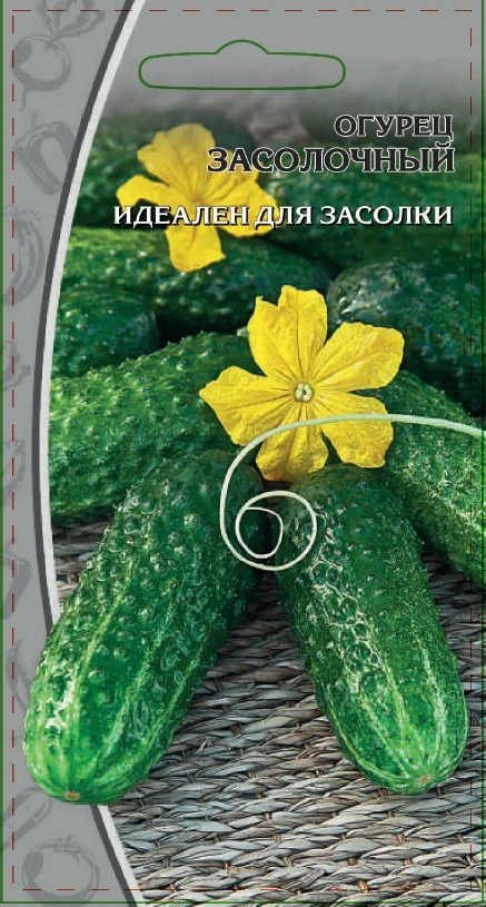 Миниатюра изображения сорта Засолочный