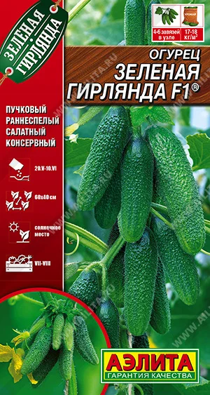 Зеленая гирлянда