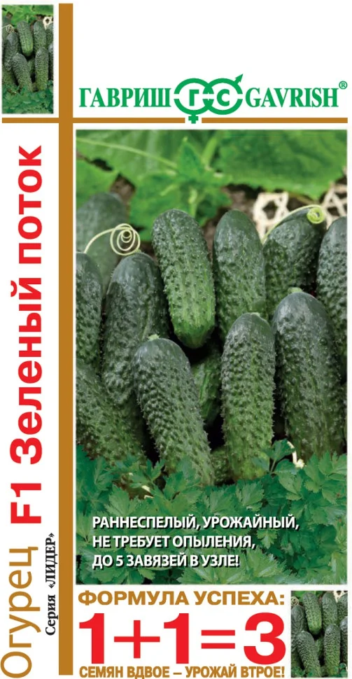 Зеленый поток 