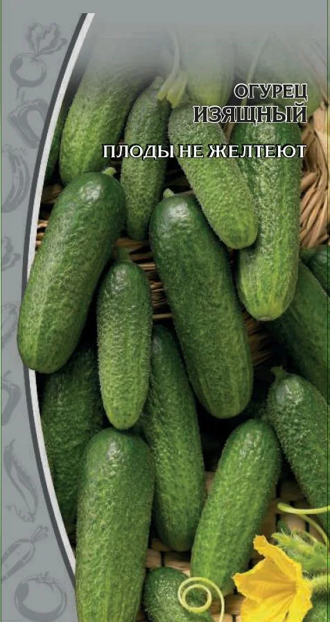 Миниатюра изображения сорта Изящный