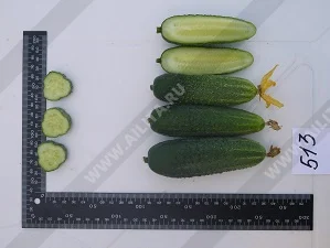 Казацкий перекус