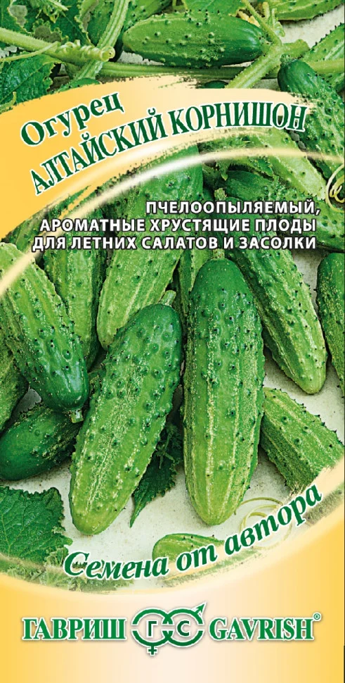 Алтайский корнишон