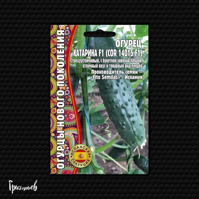 Катарина(COR 14015)