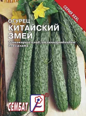 Миниатюра изображения сорта Китайский змей