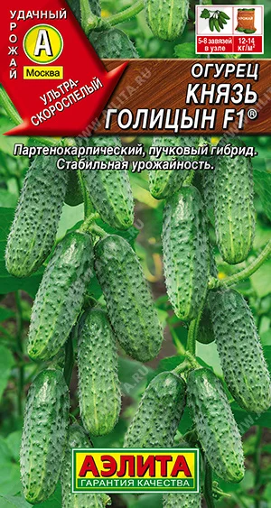 Князь Голицын