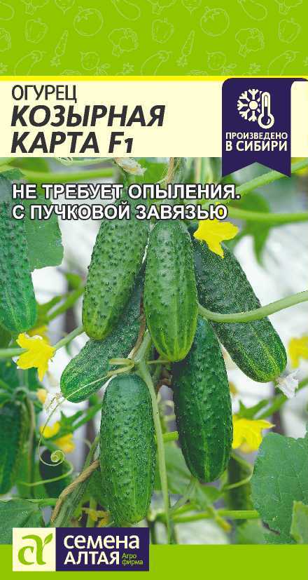 Миниатюра изображения сорта Козырная карта