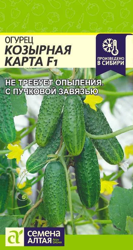 Миниатюра изображения сорта Козырная карта