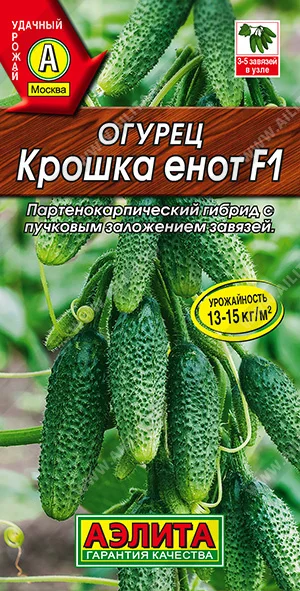 Крошка енот