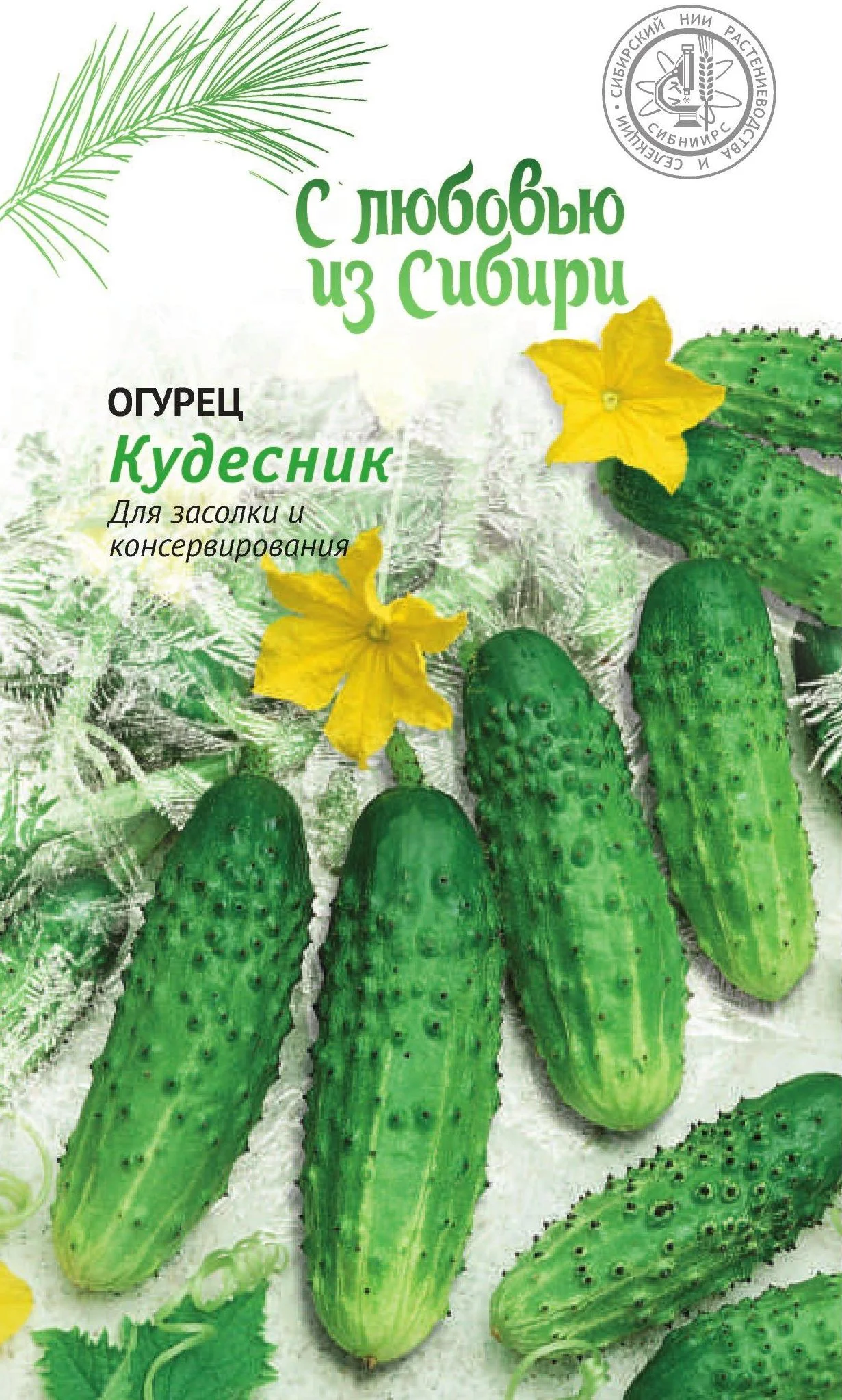 Кудесник 