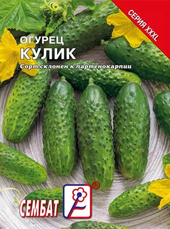 Кулик