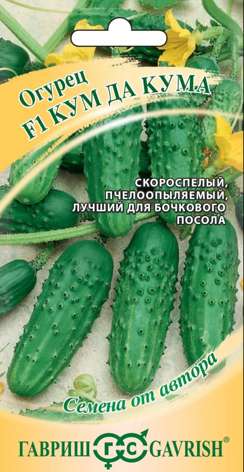 Кум да Кума