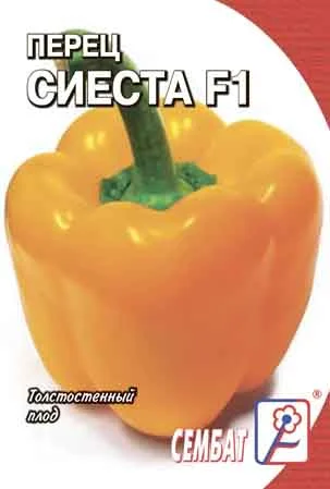 Сиеста 