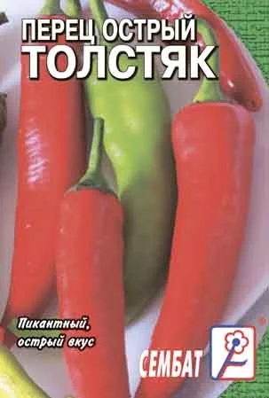 Толстяк