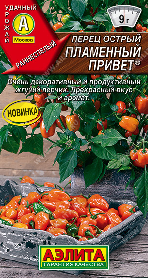 Пламенный привет