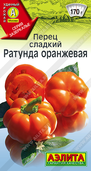 Ратунда оранжевая