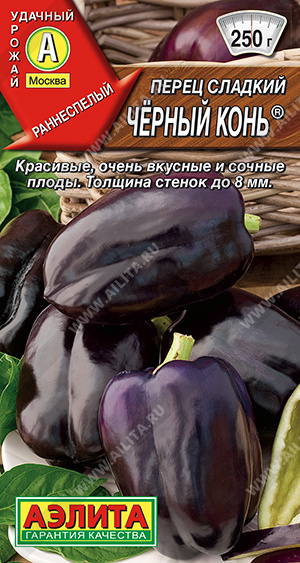 Черный конь