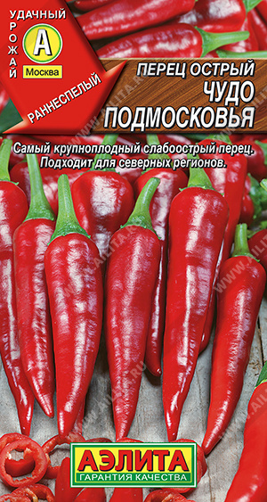 Чудо Подмосковья