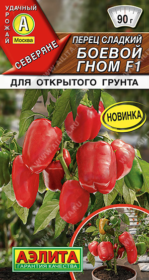 Боевой гном 