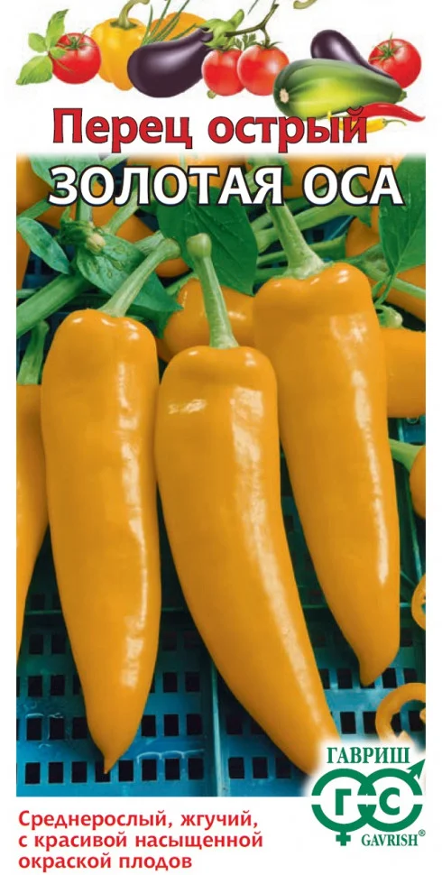 Золотая оса