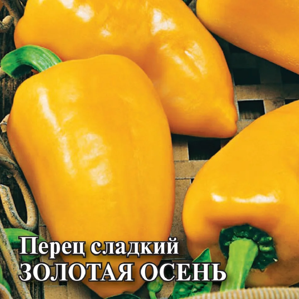 Золотая осень 