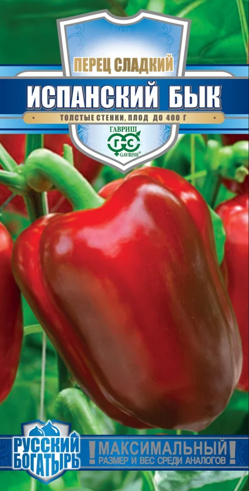 Испанский бык 