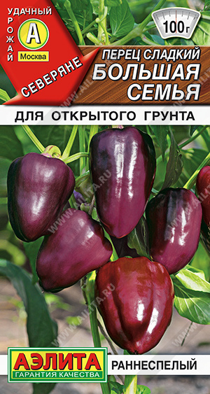 Большая семья