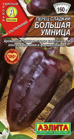 Большая умница