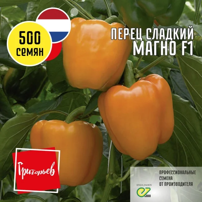 Миниатюра изображения сорта Магно 