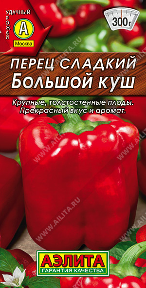 Большой куш